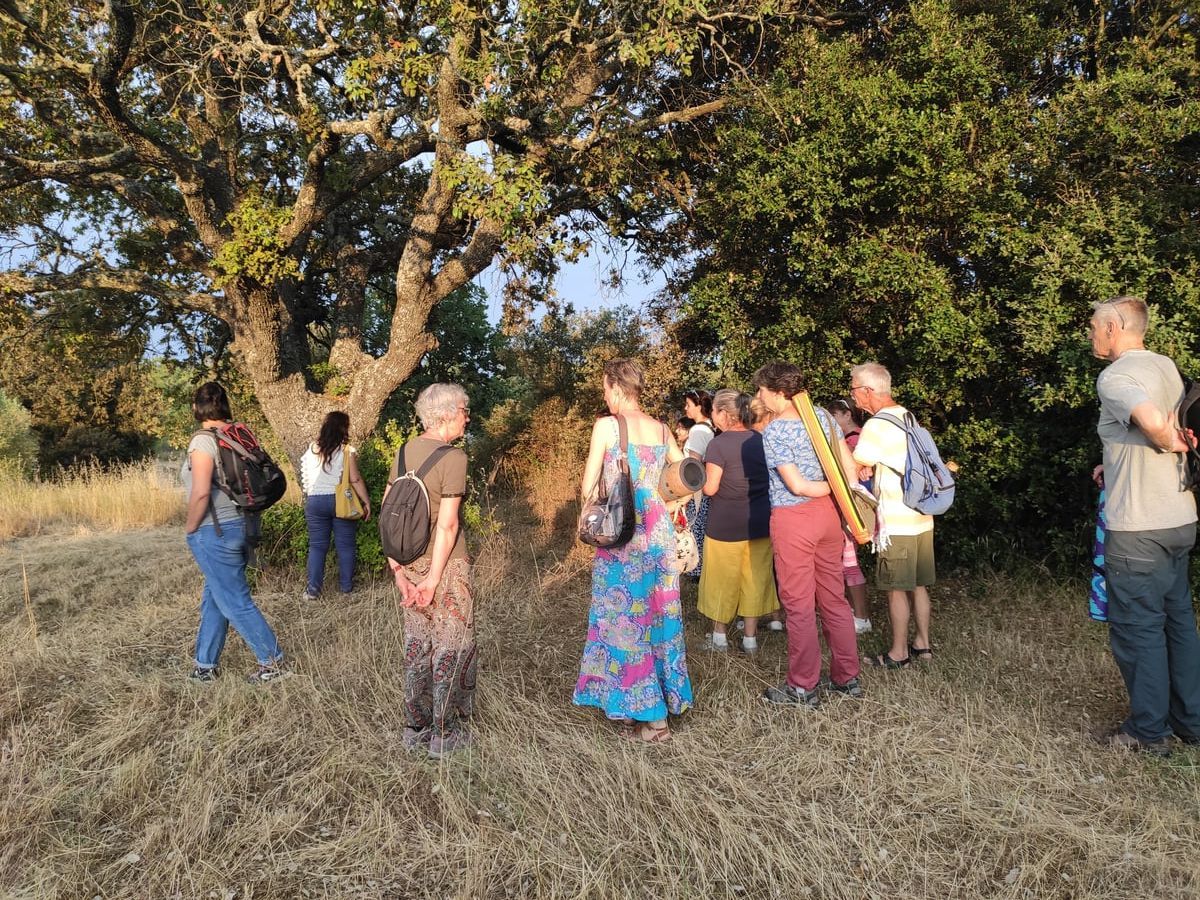 Bagno di foresta in Provenza - Immersione nella natura