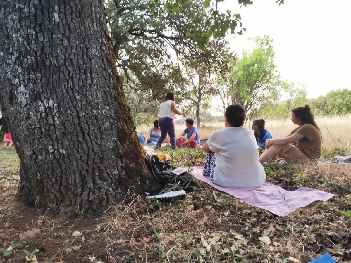 Bagno di foresta al Domaine de la Blaque - Rigenerazione