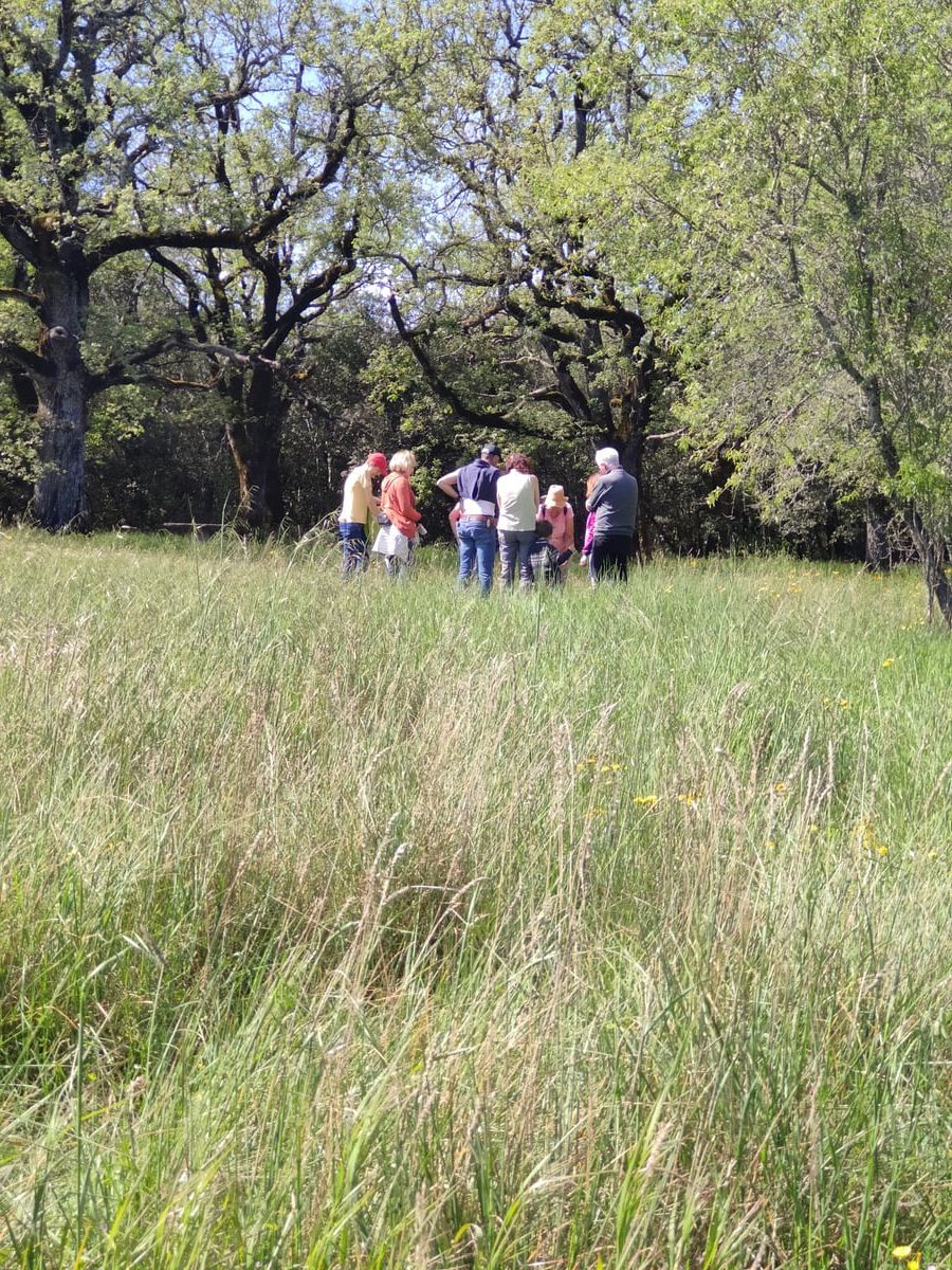 Passeggiata botanica in Provenza - Scoperta delle piante