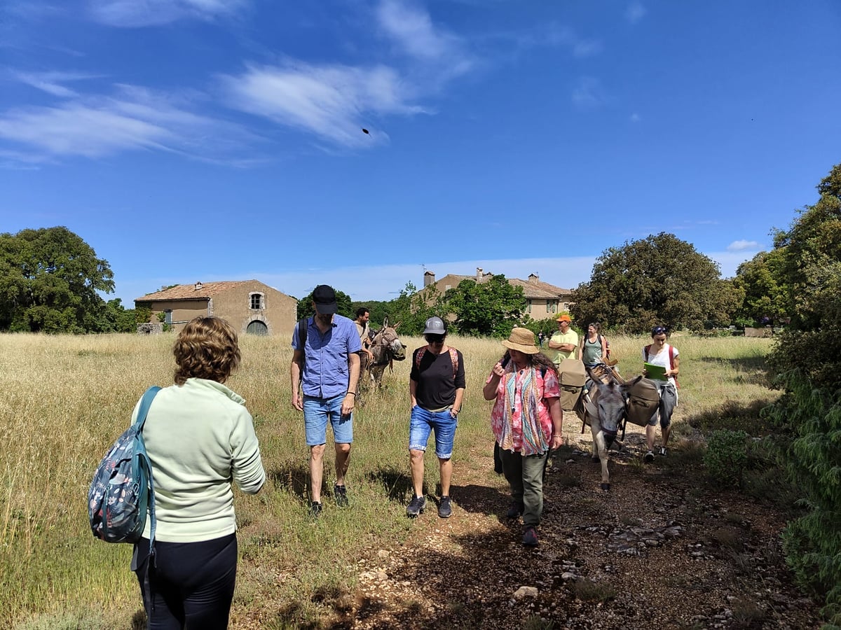 Passeggiata botanica - Flora provenzale