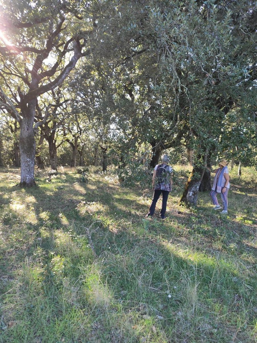 Passeggiata botanica - Natura nella Provenza Verde