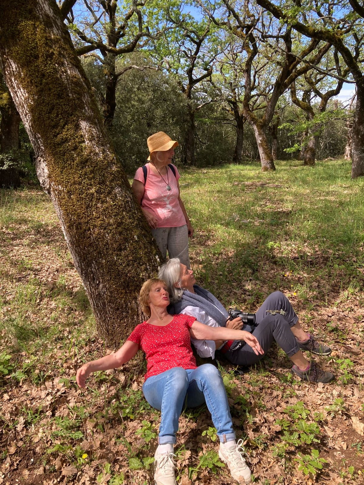 Passeggiata nella natura al Domaine de la Blaque
